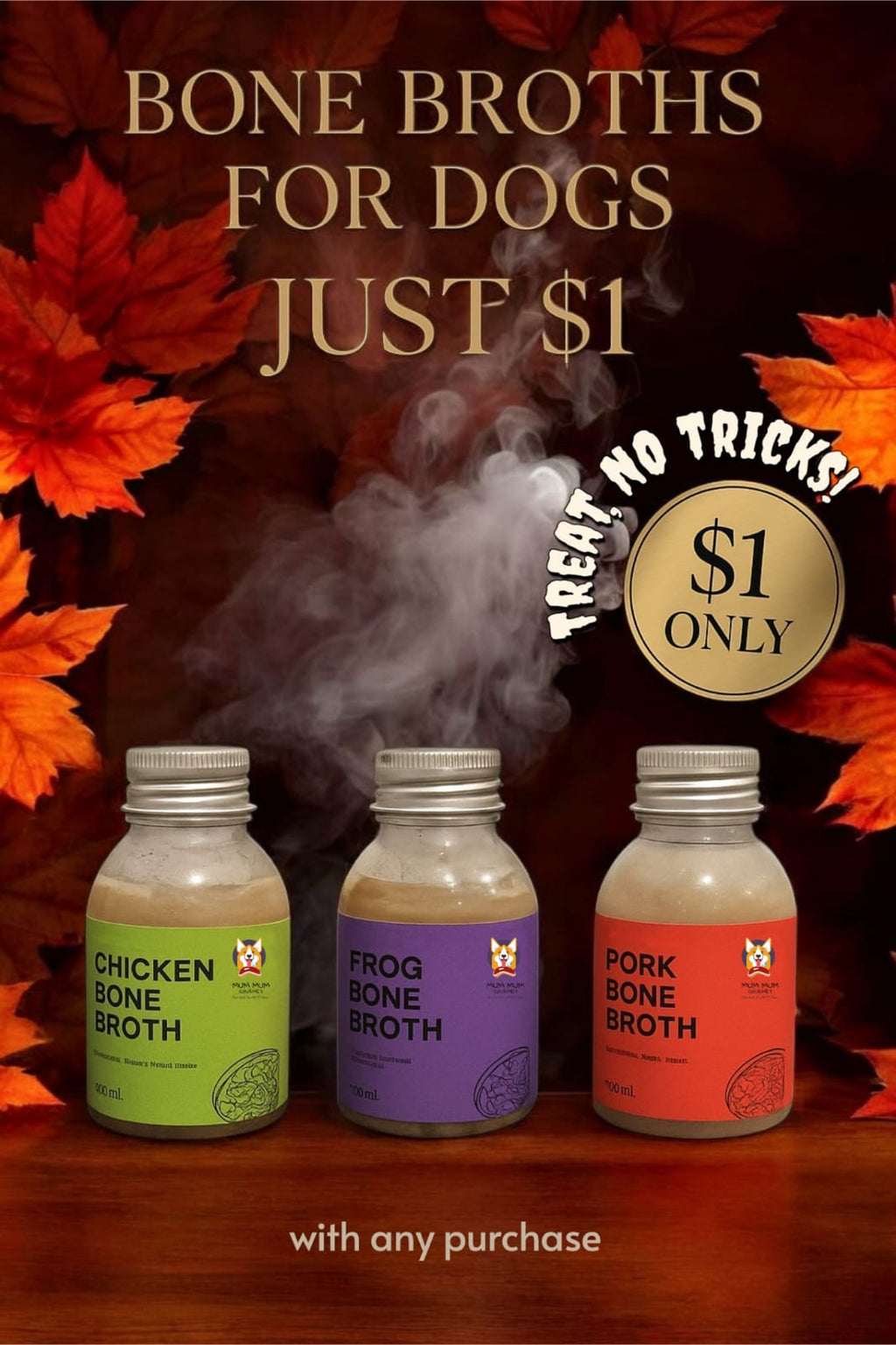 Chicken Bone Broth