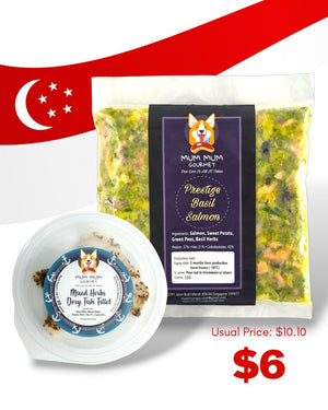 Salmon Fish for Dogs