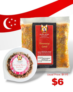 Lamb Protein For Dogs