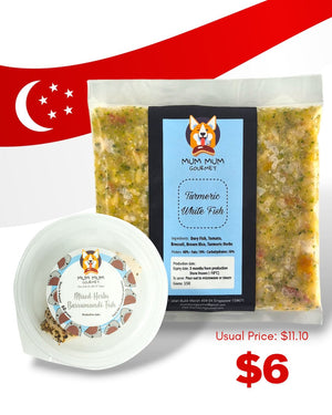 Fish for Dogs