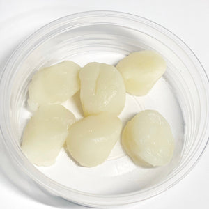 SCALLOP