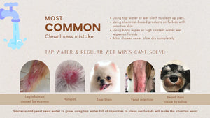 PET'S ACTIVATED WATER SANITIZER (P.A.W.S) TRAVEL WIPES (20 PCS PER PACKET)