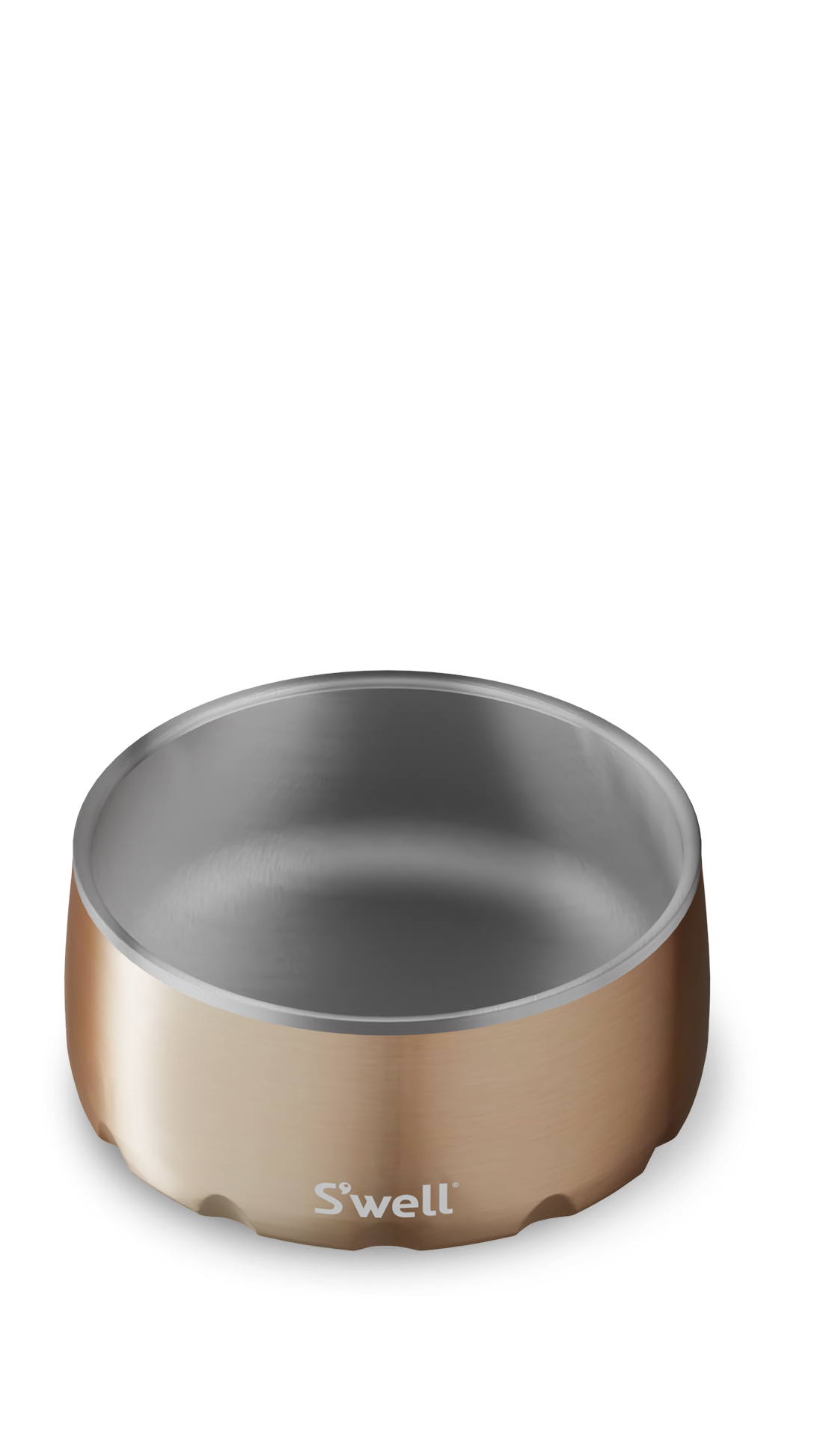 S’well Pyrite Dog Bowl