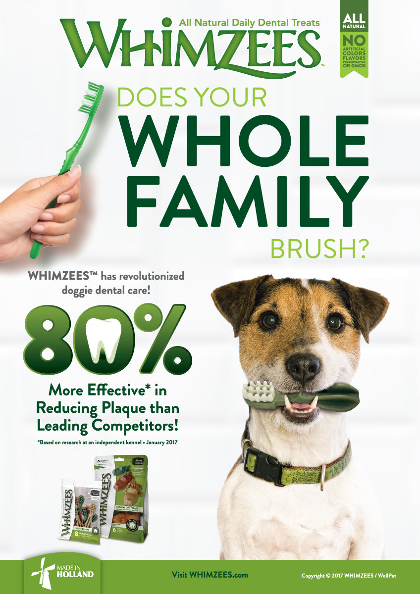 WHIMZEES NATURAL DOG CHEWS TOOTHBRUSH -XS/S/M/L