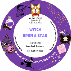 Witch Upon A Star
