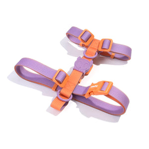 Zee.Dog Neopro Waterproof Iris H-Harness