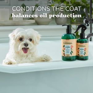 Tropiclean Essentials Jojoba Oil Control Shampoo For Dogs