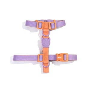 Zee.Dog Neopro Waterproof Iris H-Harness